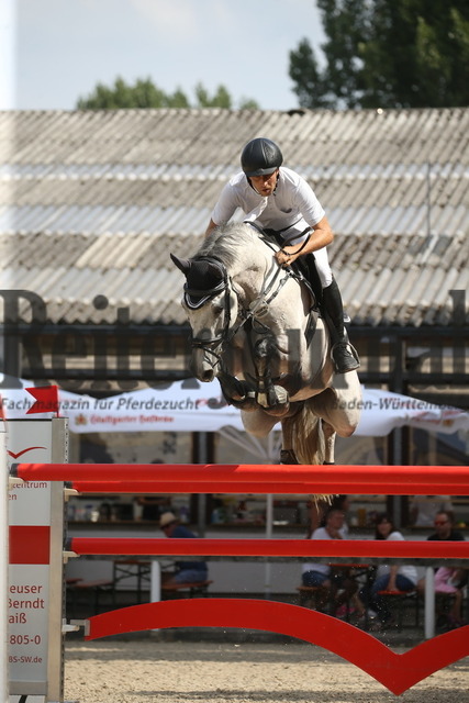 Waiblingen_2022_Springen_Kl.S_Daniel Gantner_Caytano 15 (6) | Alle Fotos der Reiterjournal Fotografin Doris Matthaes im Reiterjournal Online-Fotoshop. - Realisiert mit Pictrs.com