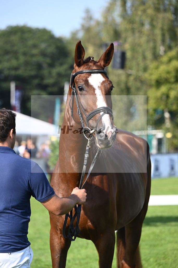 Kat-Nr. 2  Daressalam_Hoffmeister_34240018 | hf-fotografie - Realisiert mit Pictrs.com