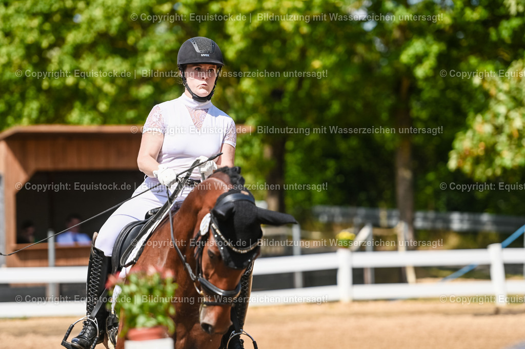 20230715_02_Dressurreiterprüfung Kl.L_0201 | equistock