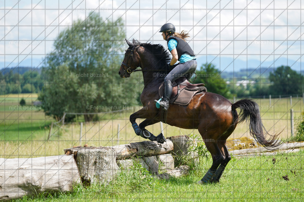 20240622-FAH07723 | Turnierfotografen Bayern, Reitsportbilder aus dem Geländekurs mit Felix Etzel auf dem Gut Waitzacker 2024