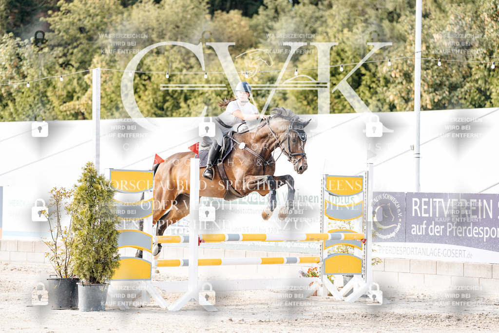CK906410 | Turnierfotografie Pferdefotografie Trier Rheinland-Pfalz Pferdesport Reitsport Tierfotografie Sportfotografie Pferdevideo Pferdevideografie Equestrianvideography equestrianphotography  - Realisiert mit Pictrs.com