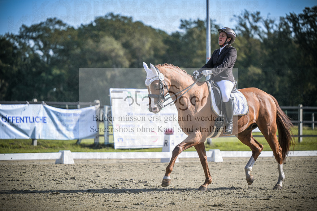 DOS_1583 | Entdecke hochwertige Reitturnierfotos von Foto Oger. Professionell, emotional und authentisch – jetzt Lieblingsmomente im Shop bestellen.Deutschlandweite Turnierfotografie. - Realisiert mit Pictrs.com