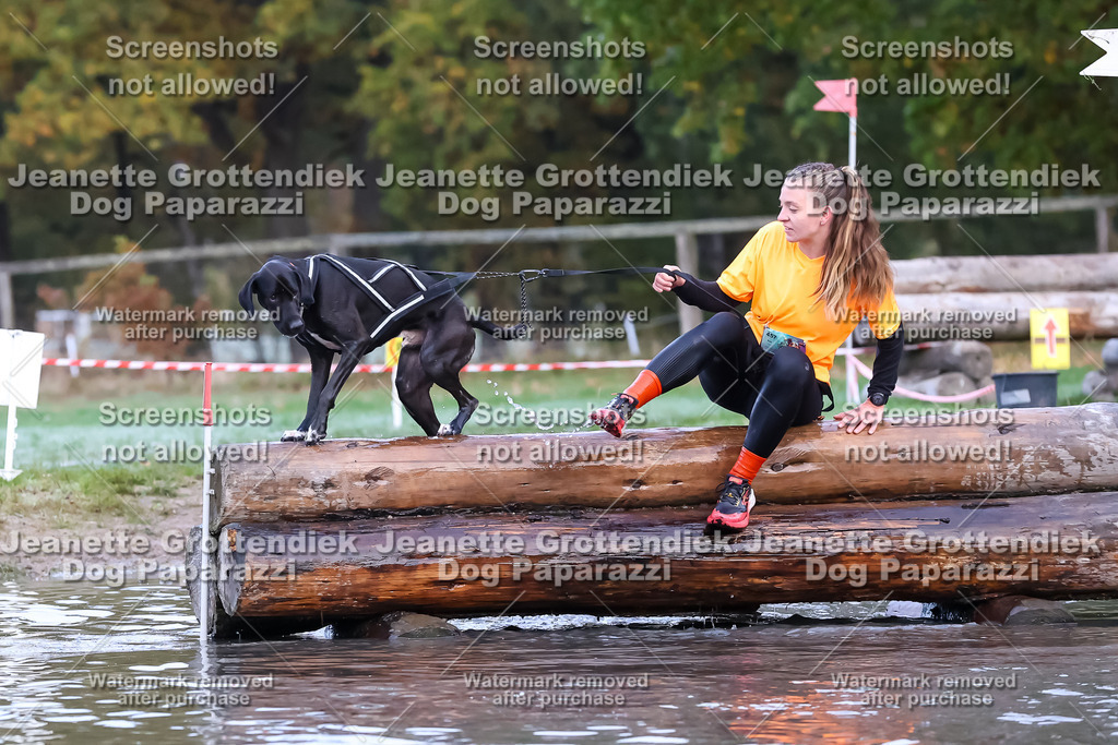 Dog Paparazzi - Strongdog 10-25-6317 | Dog Paparazzi Jeanette Grottendiek Fotografie & Videografie - Realisiert mit Pictrs.com