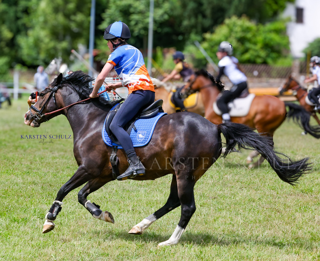 1B3A0566 | Reitsport Reiten