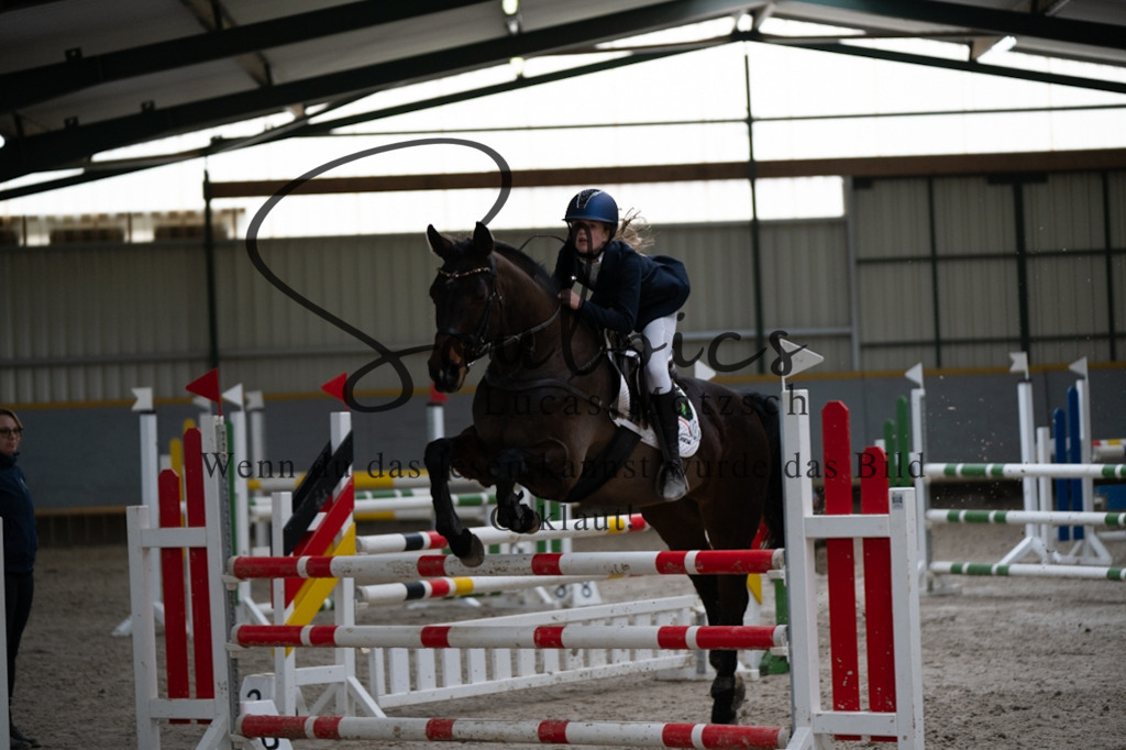 A7V07391 | Pferdefotograf