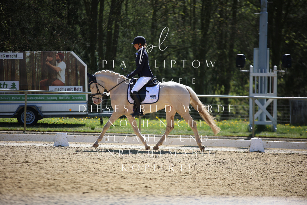 IMGT1251 | pl-fotografie