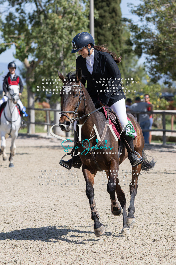 IMG_7106 | s-jay-photography - Realisiert mit Pictrs.com