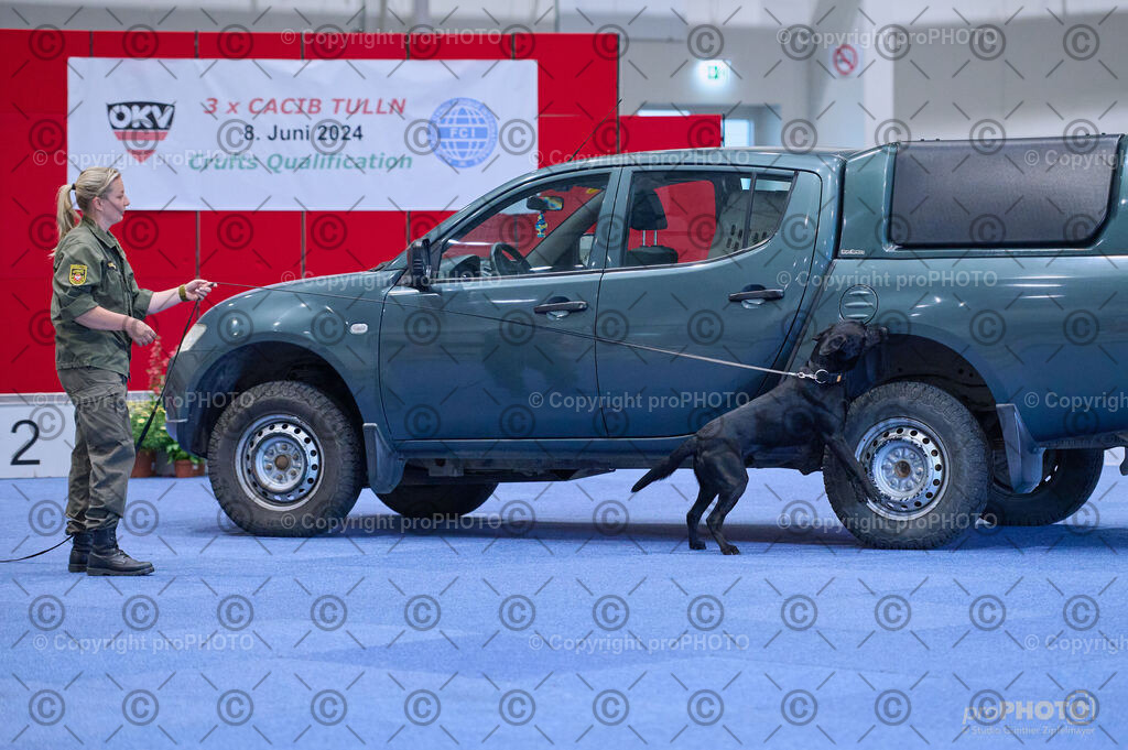 202406_ÖKV-IHA-Tulln24_DSC_3586 | proPHOTO - Realisiert mit Pictrs.com