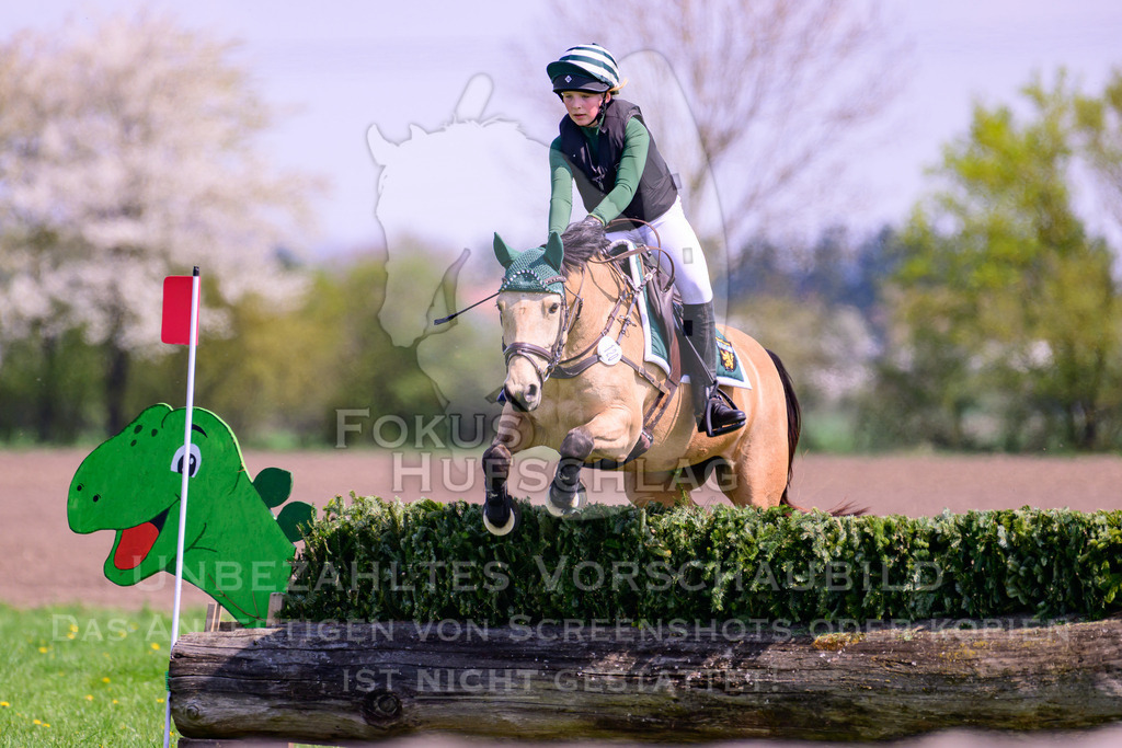 18042026-Gernlinden-01-1-0496 | Fokus Hufschlag Fotografie - Realisiert mit Pictrs.com