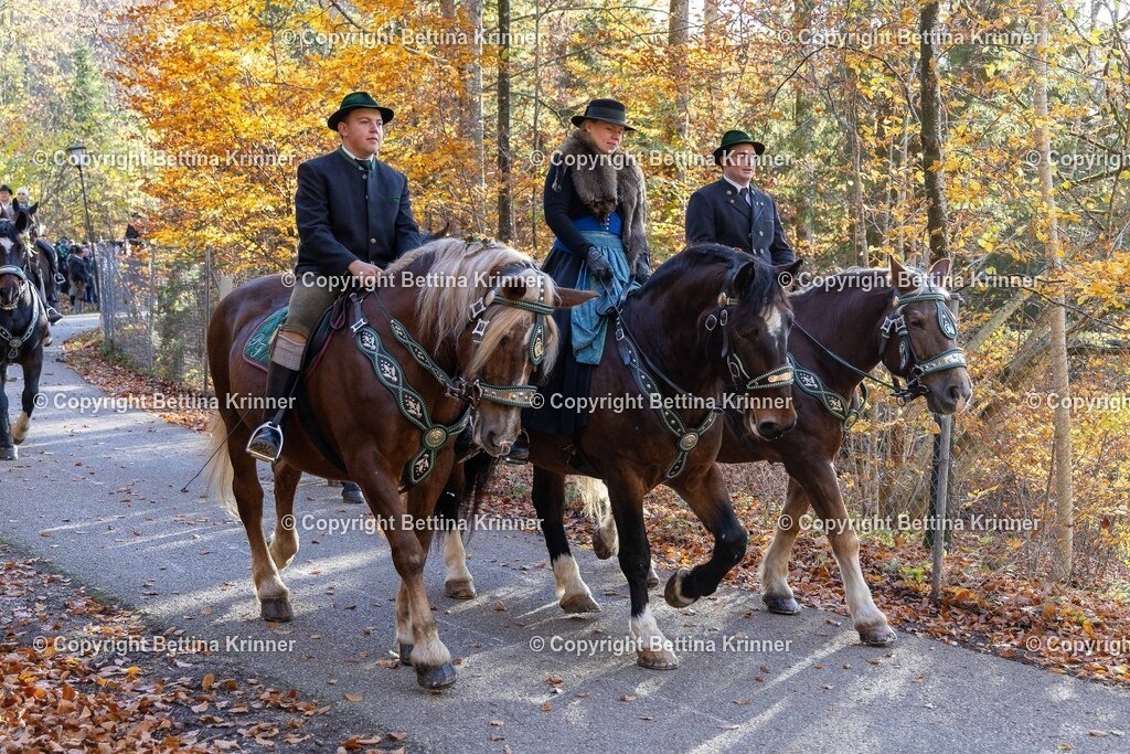 LL24-336 | foto-bettina-krinner - Realisiert mit Pictrs.com