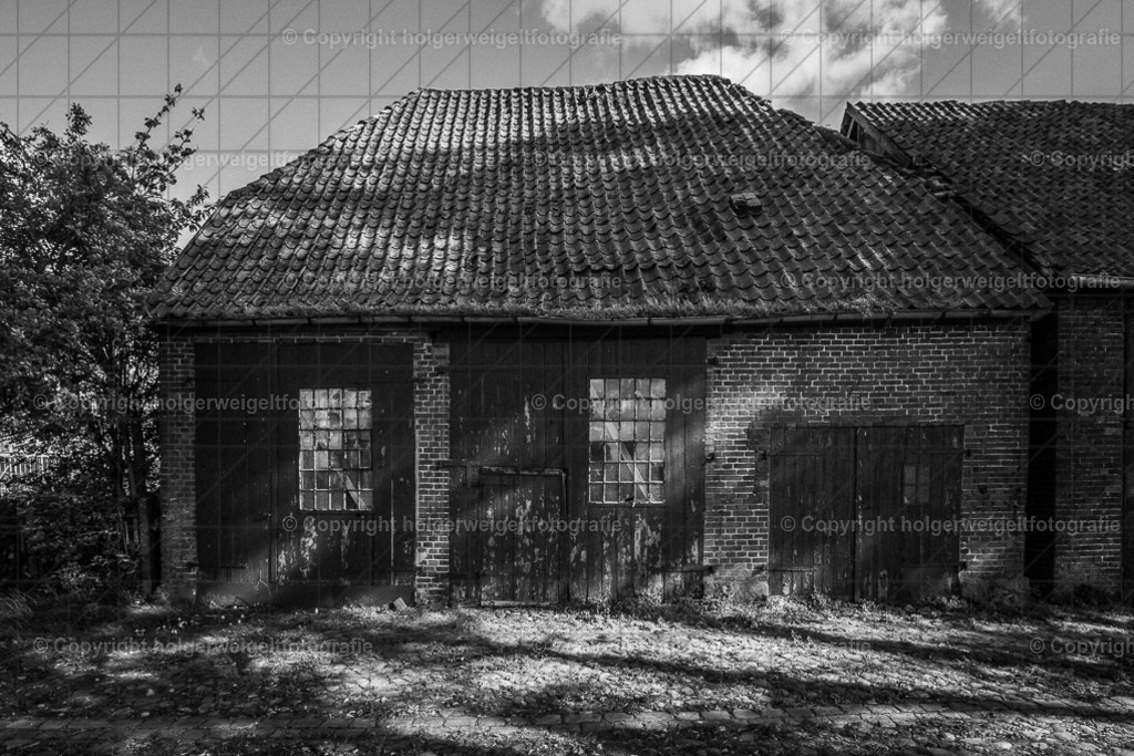 20221008125840D75_0750 | Kaufen sie online außergewöhnliche Fotografien auf Leinwand Acrylglas Fotoprint Aludibond von holgerweigeltfotografie - Realized with Pictrs.com