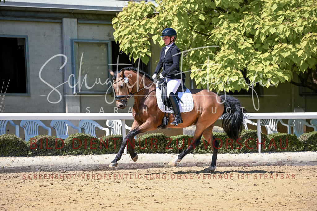 Schugtsche-Aluta25-49.Dressurpferdeprf.A-437 | Schugtsche Fotografie - Realisiert mit Pictrs.com