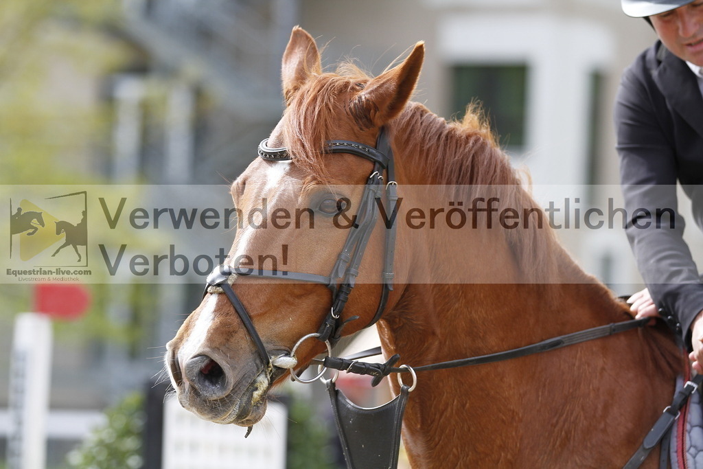 _MG_3009 | equestrian-live-com