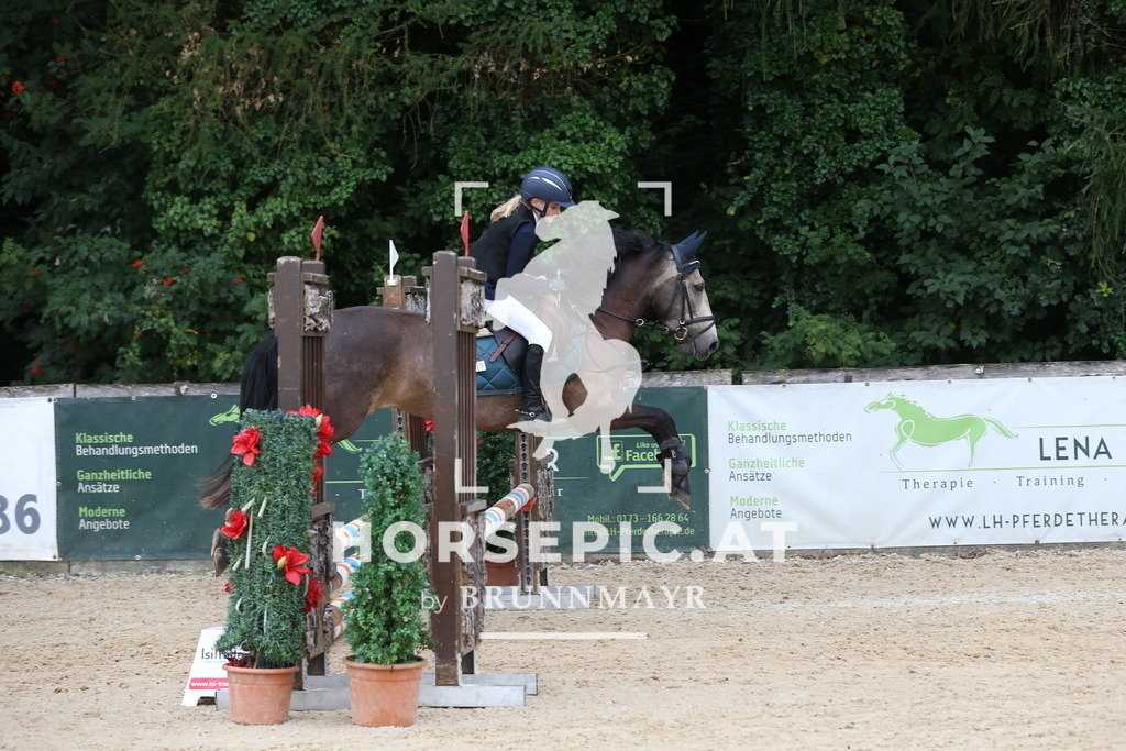 DL2Q4526 | Willkommen bei Brunnmayr - Design & Fotografie – Ihrem Spezialisten für Reitturniere und Pferdeveranstaltungen in Oberösterreich, Salzburg und Bayern! Seit über 17 Jahren sind wir leidenschaftlich dabei.