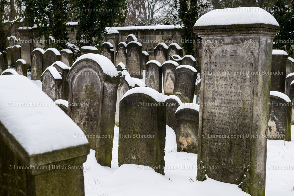 100494-3540 - Jüdischer Friedhof in Halberstadt | max. Bildgröße A2 | 300dpi - Realisiert mit Pictrs.com