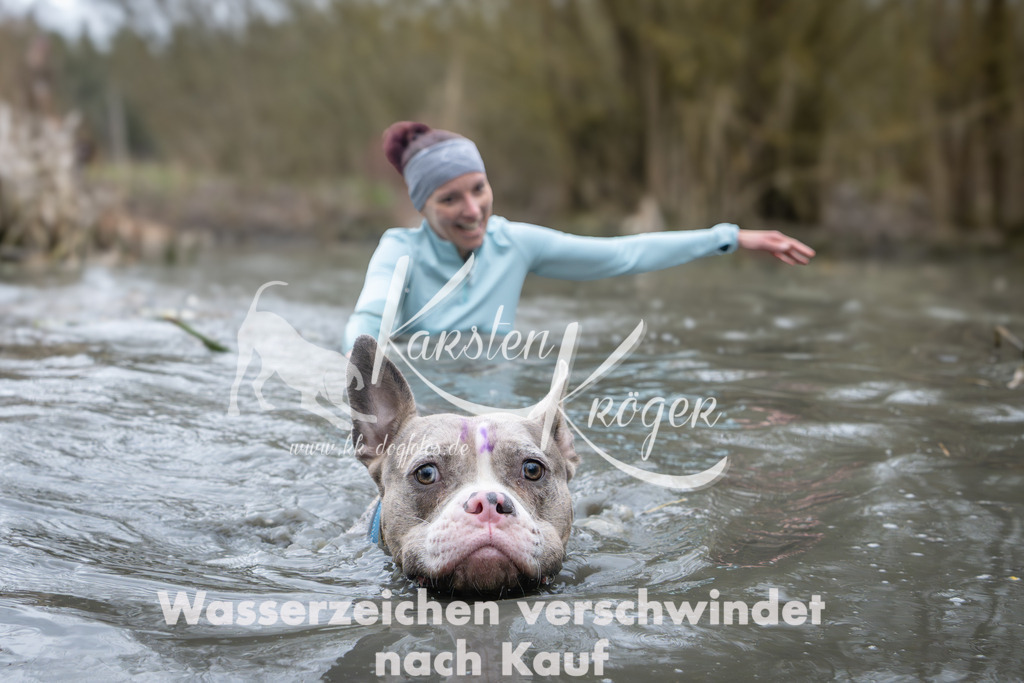1001_ZZ95211 | kk-dogfotos