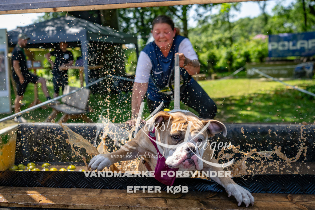 1300_ZZ90442 | kk-dogfotos