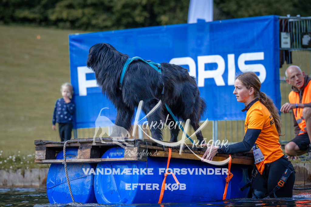 0835_ZZ99611 | kk-dogfotos