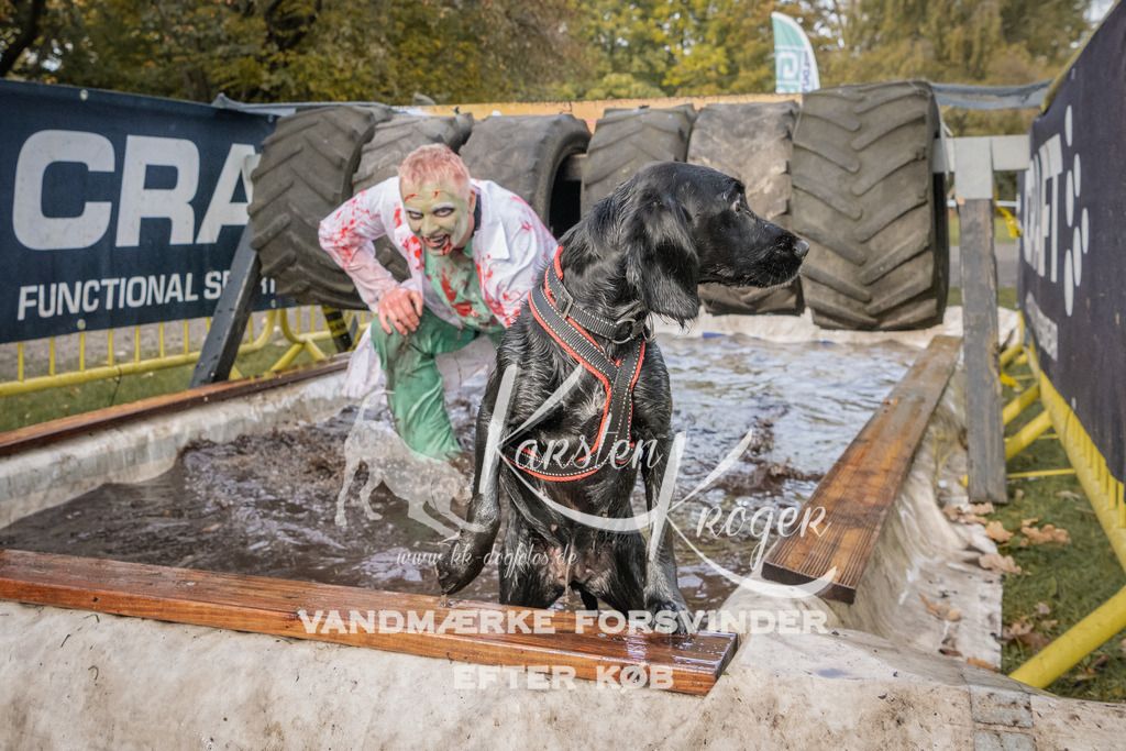 1442_ZZ94858 | kk-dogfotos