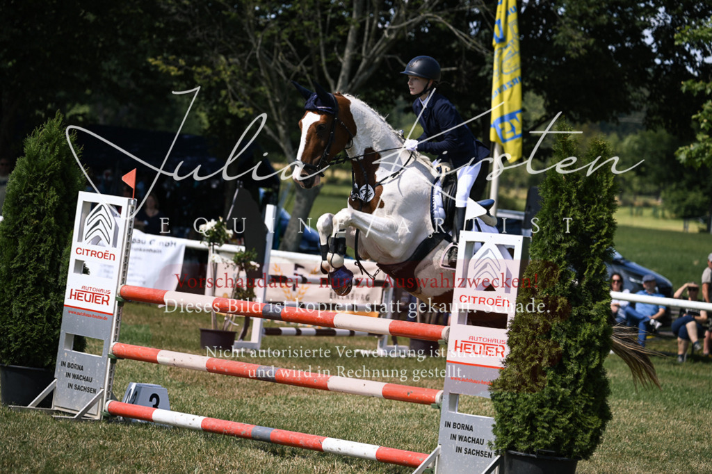 DSC_0341 | Pferde- und Turnierfotografie in Westsachsen. Pferdeportraits, Auftragszeichnungen und intuitive Kunst.