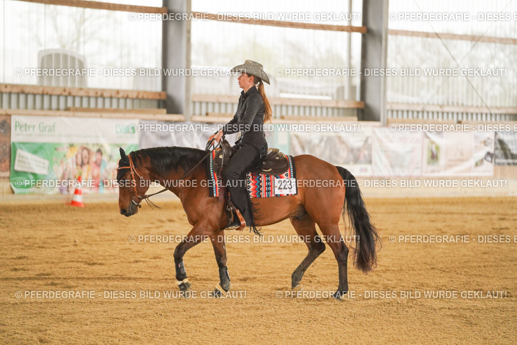 DSC09921 | Pferdegrafie