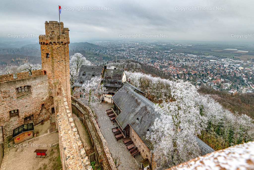 Winter-Schloss-Auerbach-Thomas_Neu_Fotografie-49 | Winterzauber auf Schloss Auerbach: Die historische Burgruine hoch über der Bergstraße zeigt sich im Schnee von ihrer beeindruckendsten Seite. Der Blick über die Rheinebene, der mächtige Wehrturm und die markante Schwarzkiefer machen das Schloss zu einem der schönsten Wintermotive im Odenwald. Entdecken Sie die faszinierende Kombination aus Geschichte, Natur und einzigartiger Winteratmosphäre., Bild: Thomas Neu