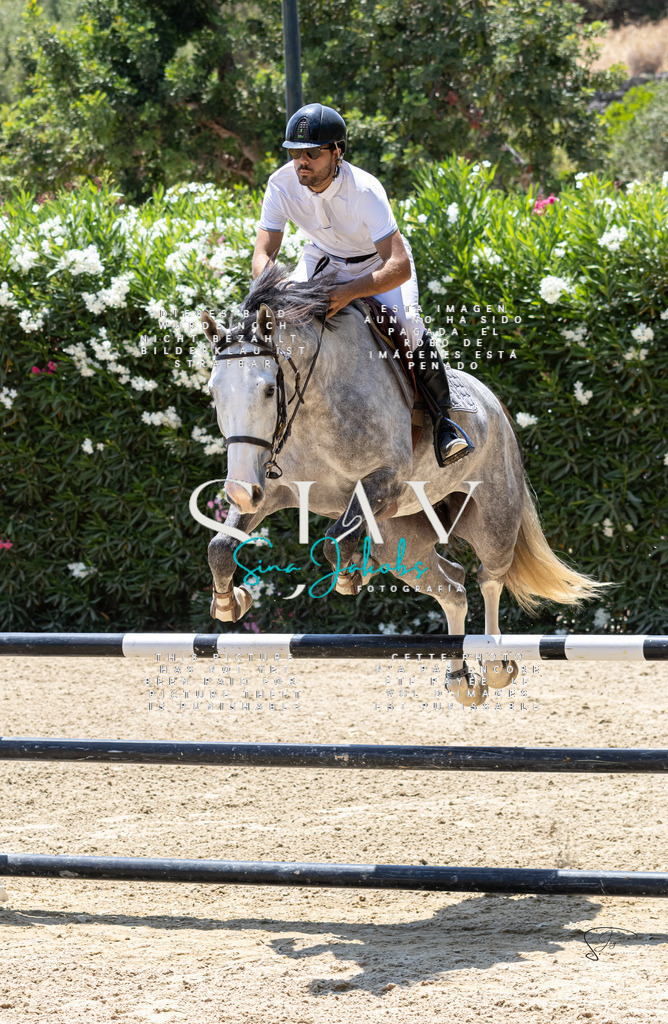 IMG_7459 | s-jay-photography - Realisiert mit Pictrs.com