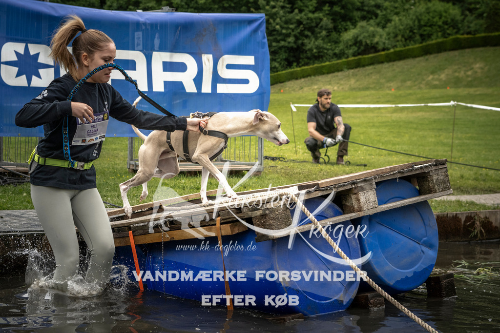 1101_ZZ95850 | kk-dogfotos