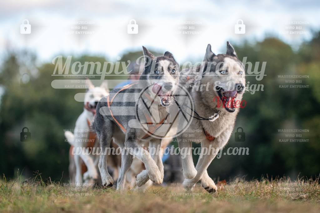 CDLBDB_15_10_2023_Dimanche-42 | PayLife