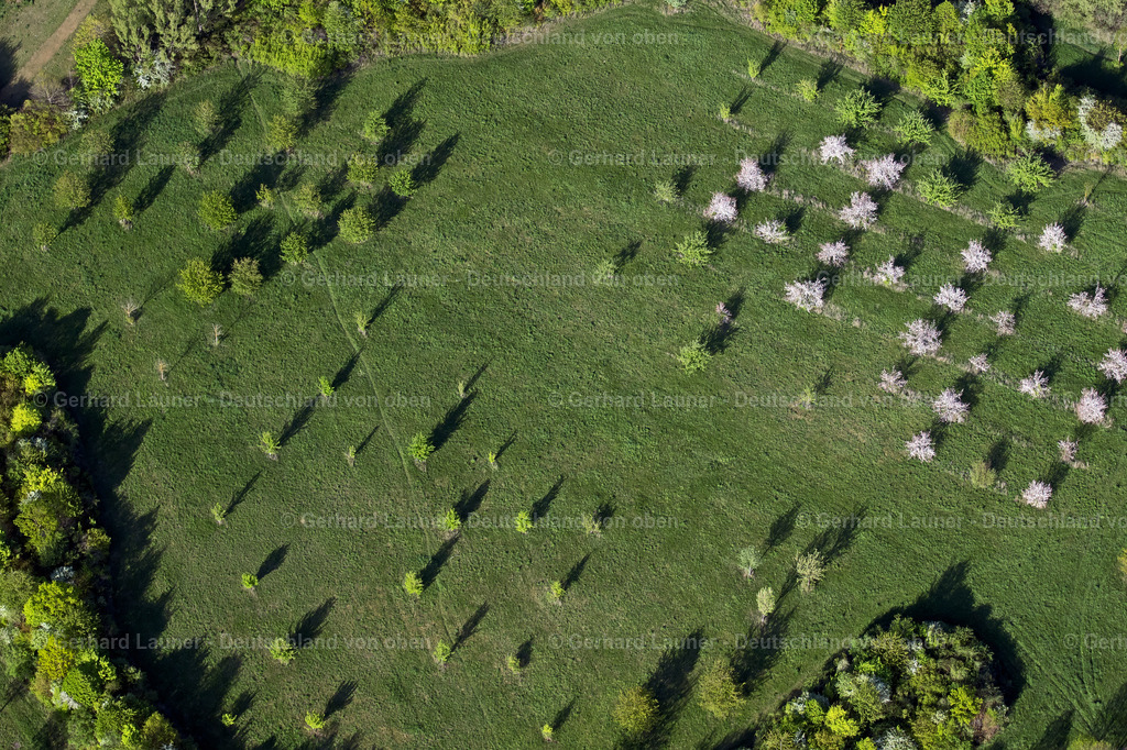 4026037 | ERFURT 06.05.2020 Grasflächen- Strukturen einer Feld- und Wiesen- Landschaft an der Rudolstädter Straße - Eisenberger Straße im Ortsteil Dittelstedt in Erfurt im Bundesland Thüringen, Deutschland. // Structures of a field landscape on Rudolstaedter Strasse - Eisenberger Strasse in the district Dittelstedt in Erfurt in the state Thuringia, Germany. Foto: Gerhard Launer