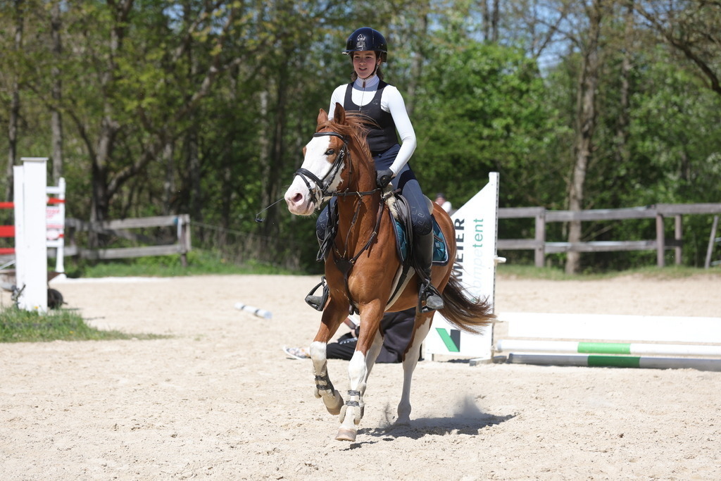 0P6A8803 | Willkommen bei Brunnmayr - Design & Fotografie – Ihrem Spezialisten für Reitturniere und Pferdeveranstaltungen in Oberösterreich, Salzburg und Bayern! Seit über 17 Jahren sind wir leidenschaftlich dabei.