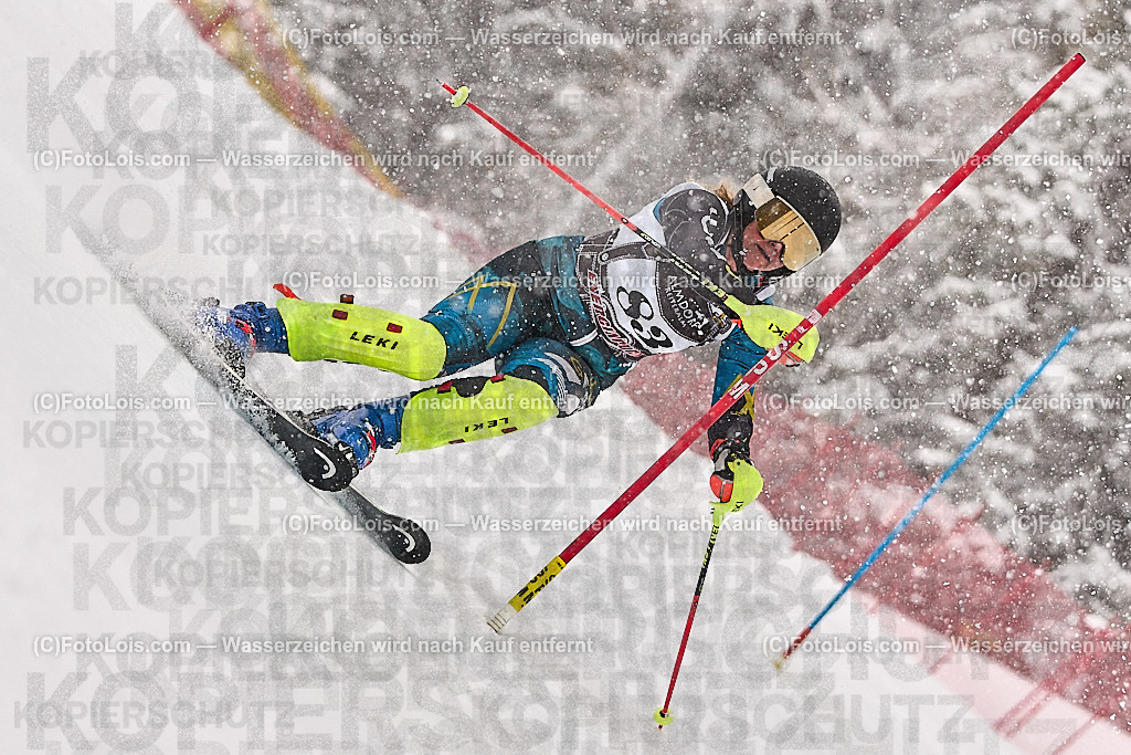 _ALP9125_MASTERS-WM_Reiteralm_CD_SL-I_VAN DEN ENDE Anne-Marie | FISWORLD CHAMPIONSHIPSMASTERS ALPINE SKIING, 23. – 28. MÄRZ 2026 - REITERALM | STMK | AUT.   Veranstaltet vom Masters-Referat des Deutschen Skiverbandes (DSV). Durchführende Organisation: WSV Pichl-Reiteralm, unterstütutzt von den Bergbahnen REITERALM bei Schladming und SKI AUSTRIA.                            Disziplinen:  Super-G, GiantSlalom, Slalom.                                                 Kategorien:  A (Herrn 30-59 Jahre), B (Herrn ab 60 Jahre), C (Damen 30-59 Jahre), D (Damen ab 60 Jahre).                Rennstrecken:   Gasselhöhe und Muldenliftpiste auf der Reiteralm.