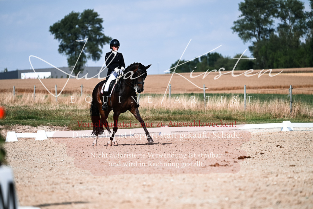 DSC_3350 | Pferde- und Turnierfotografie in Westsachsen. Pferdeportraits, Auftragszeichnungen und intuitive Kunst.