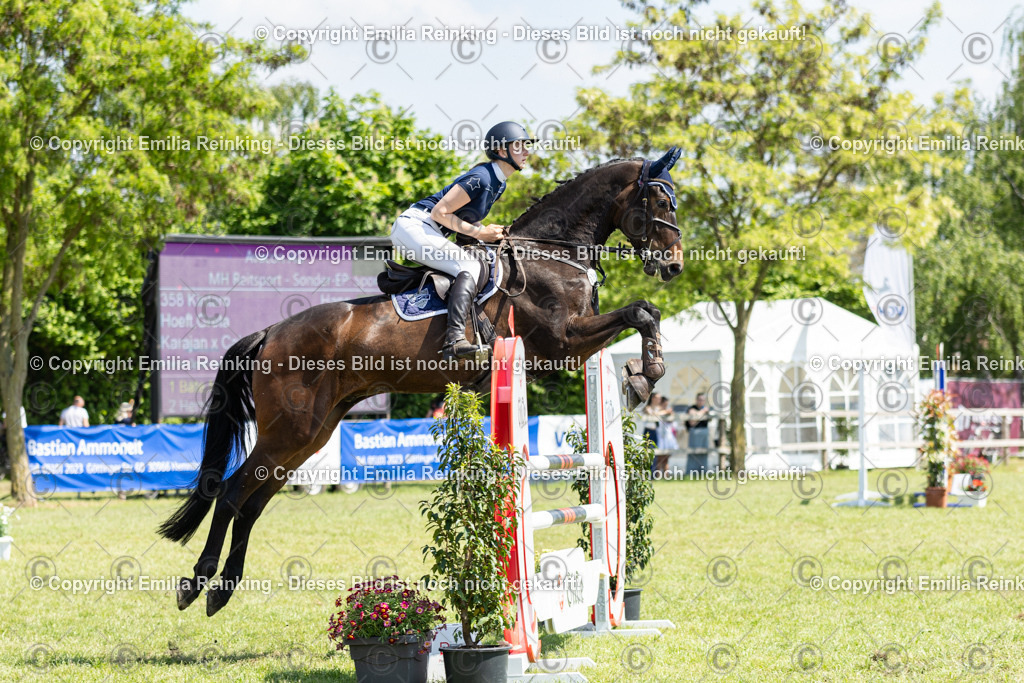 CL5A9600 | Emilia Reinking Fotografie - Realisiert mit Pictrs.com