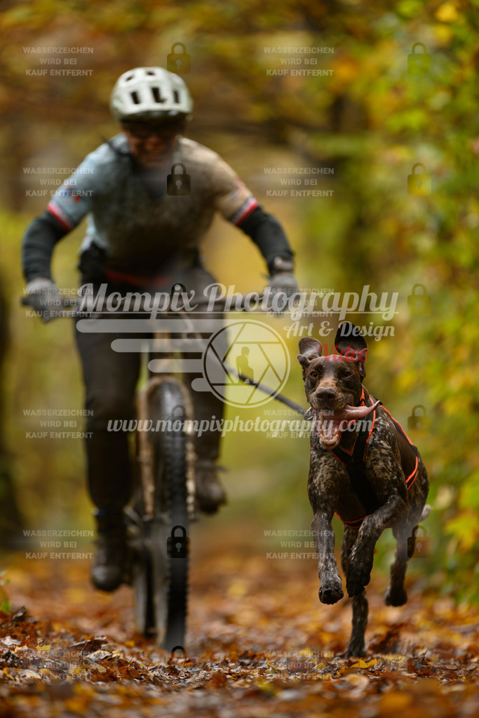 MompixPhotography_CD7S_DI_Bike-21 | mompixphotography