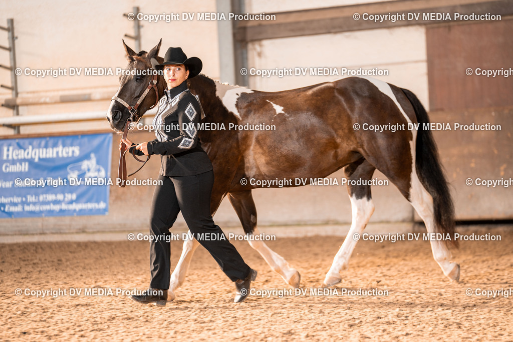 LM Heiligenwald Tag 1-20 | dv-media-shop - Realisiert mit Pictrs.com