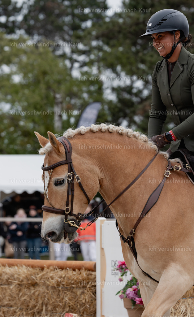 PI26_SP_StoibphotographyC2_C0375.jpg | working equitationturnier fotograf videograf stoibphotography marixx film working equitation deutschland reitsport turnierfotografie eventfotografie equestrian events