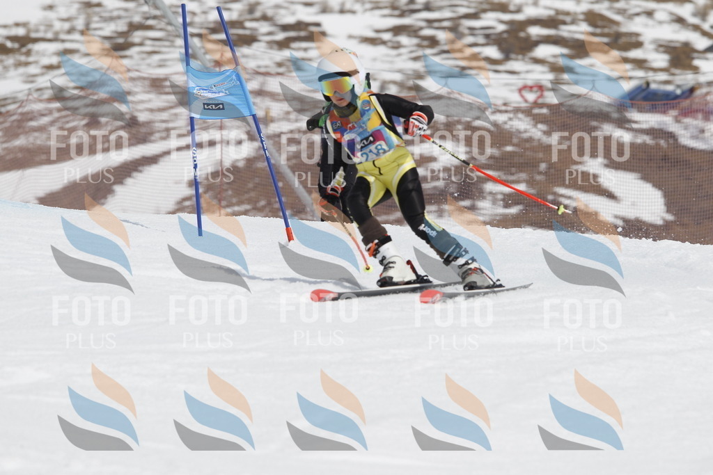 _U3G2331 | holidayphoto