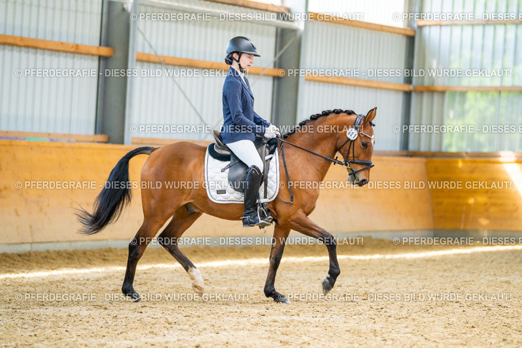 DSC08723 | Pferdegrafie