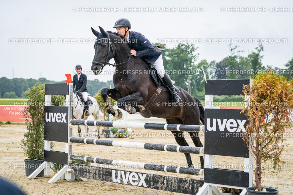 DSC01306 | Pferdegrafie