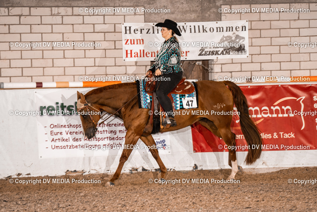 ZH200184 | dv-media-shop - Realisiert mit Pictrs.com