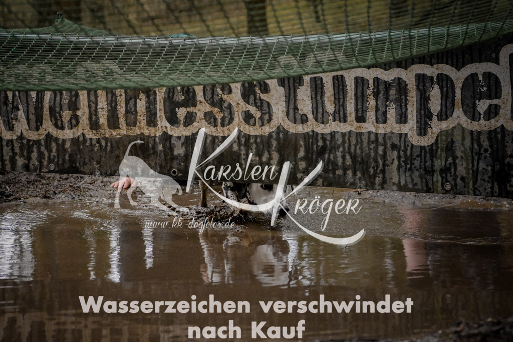 0935_ZZ98190 | kk-dogfotos
