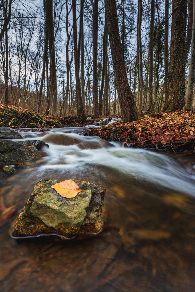 Quarbach bei Bad Suderode | Wir machen aus Ihren Bildern Erinnerungen für die Ewigkeit | Hochwertige Fotografien für Ihr zu Hause. - Realisiert mit Pictrs.com