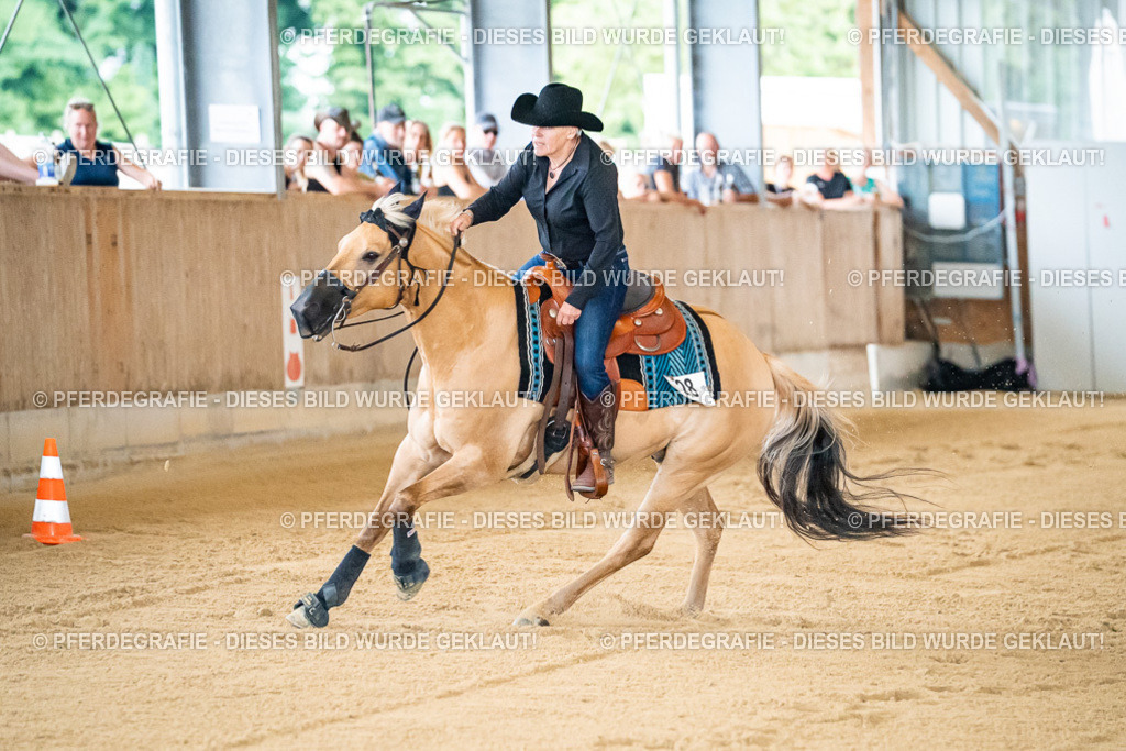 DSC08488 | Pferdegrafie