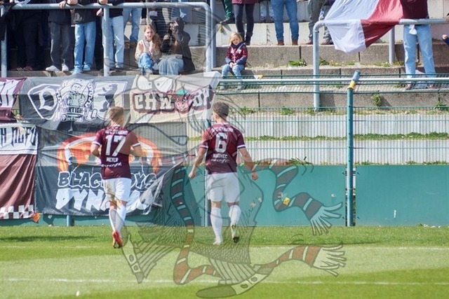 BFC Dynamo vs. VSG Altglienicke 038 | mythos-online-redaktion