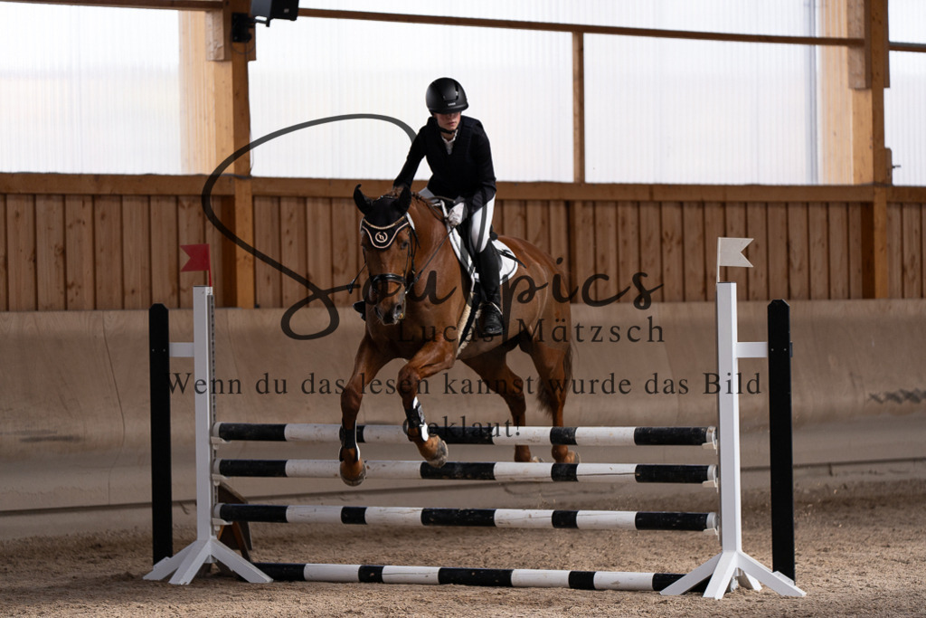 A7507735 | Pferdefotograf