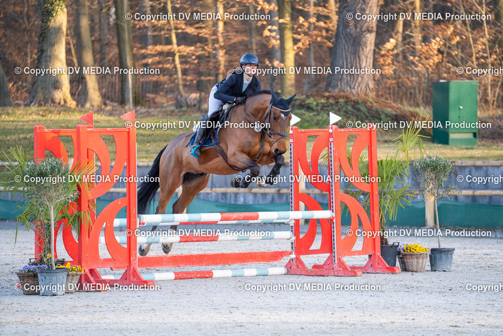 DSC-264 | dv-media-shop - Realisiert mit Pictrs.com