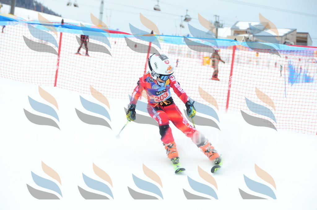 DSC_1842 | holidayphoto