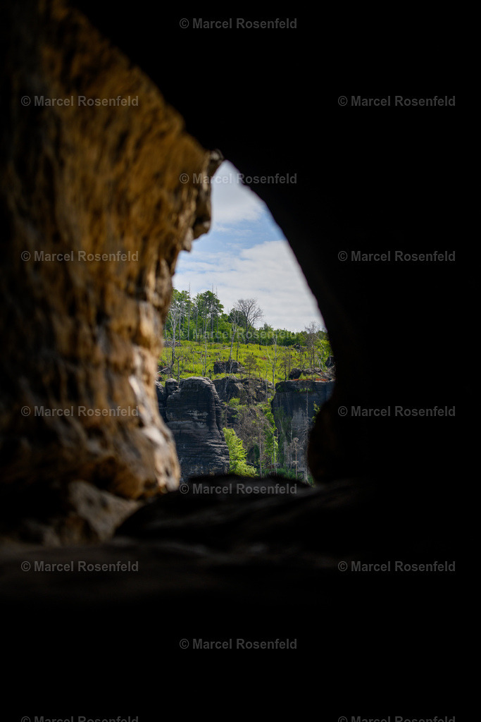 _DSC5009 | foto-rosenfeld