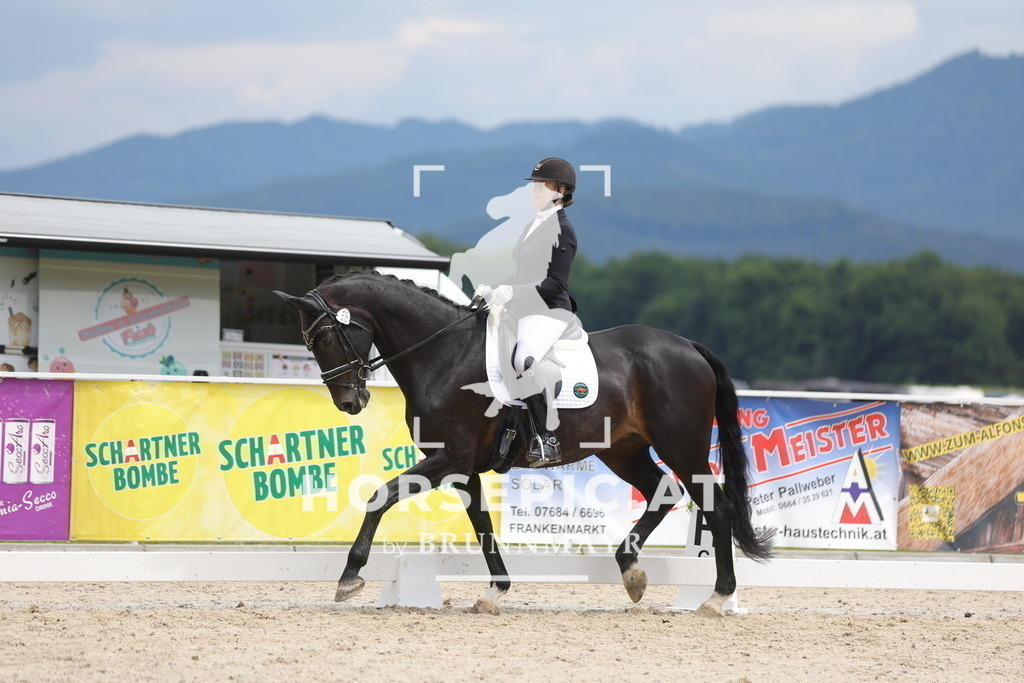 0P6A5243 | Willkommen bei Brunnmayr - Design & Fotografie – Ihrem Spezialisten für Reitturniere und Pferdeveranstaltungen in Oberösterreich, Salzburg und Bayern! Seit über 17 Jahren sind wir leidenschaftlich dabei.